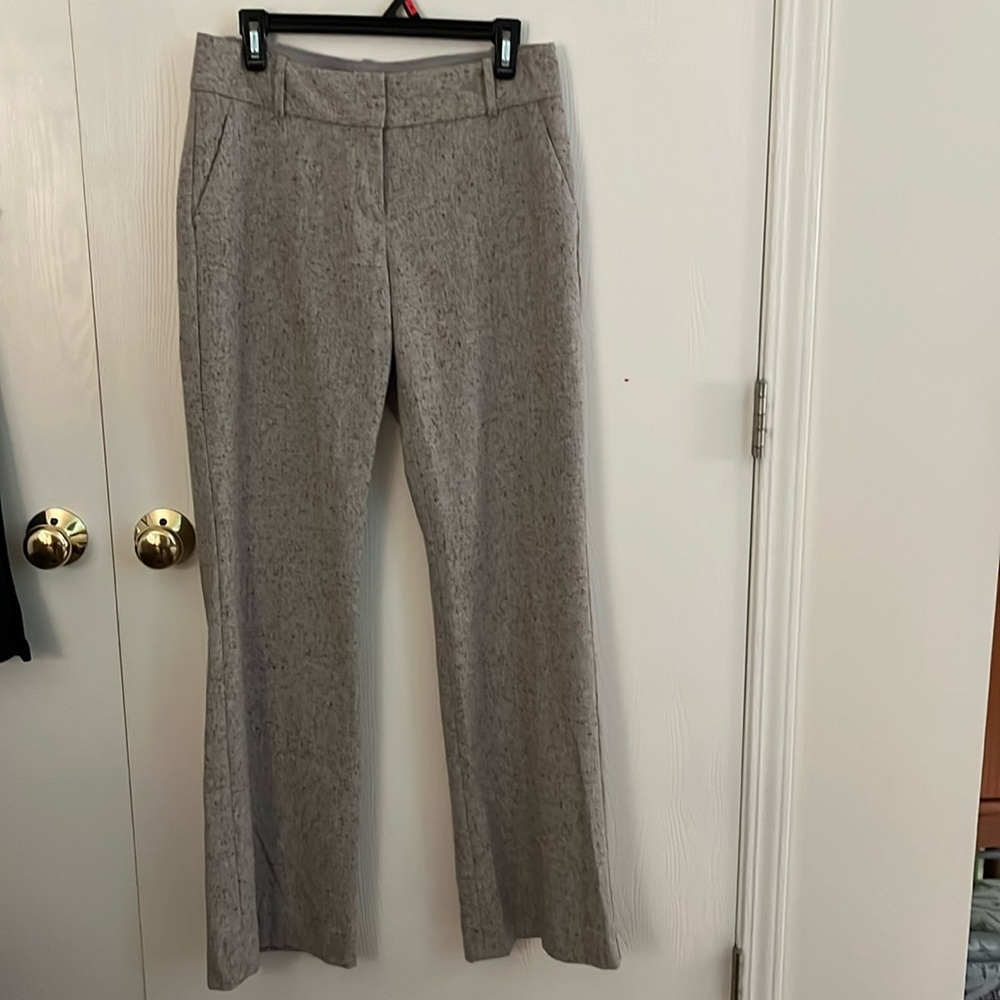 The limited (Cassidy fit) size 6